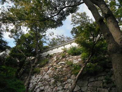 b0131046_10193629.jpg