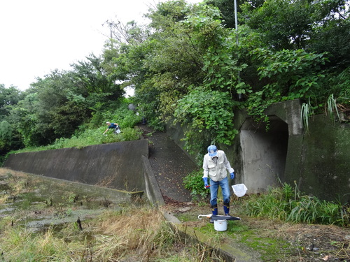 第7回「カニカニウォッチング」 in せんなん里海公園_c0108460_112742.jpg