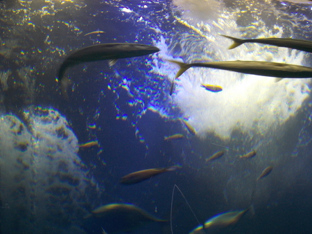 a0164362_7241520.jpg