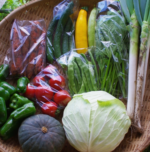 今週の野菜セット（9/10～9/14着）_c0110869_15133483.jpg