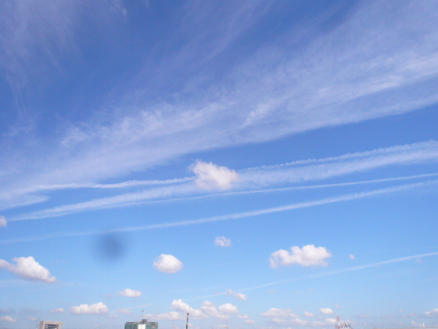 d0147774_9271495.jpg
