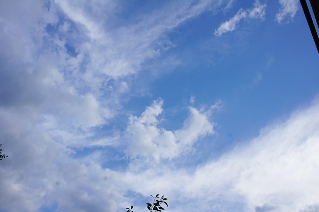 c0163878_9581484.jpg