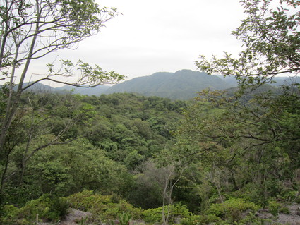 f0053885_2054727.jpg