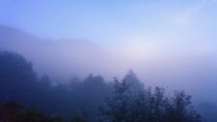 ９月９日、　霧のマジックを、堪能！_a0130586_911992.jpg