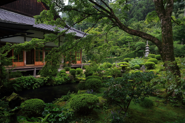 三千院_e0051888_602928.jpg