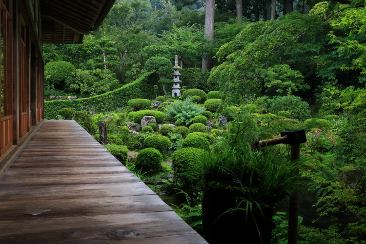 三千院_e0051888_604711.jpg