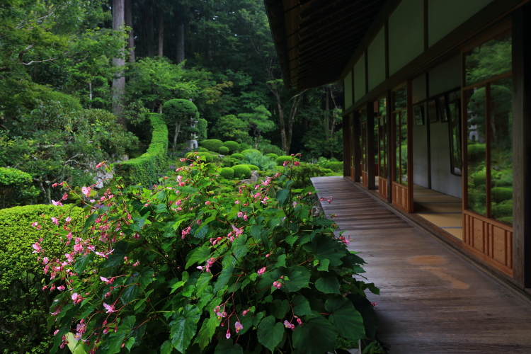 三千院_e0051888_622683.jpg