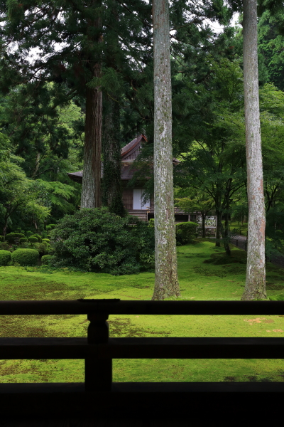 三千院_e0051888_63282.jpg