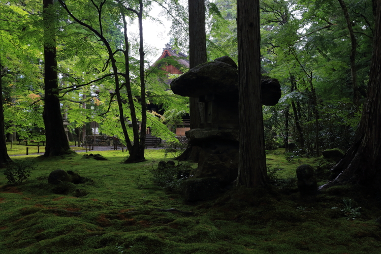 三千院_e0051888_642983.jpg