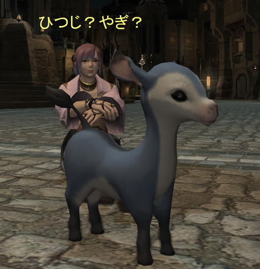 b0296791_1534015.png