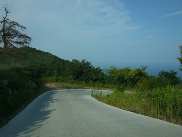 b0190092_22293163.jpg