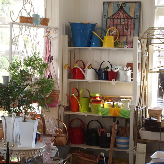 sola og planta ハーブ教室使用な店内_a0292194_23555854.jpg
