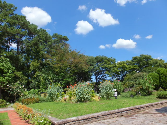 a0271502_1034324.jpg