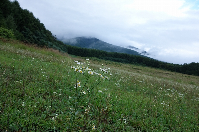 b0147203_2355719.jpg
