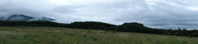 b0147203_2384666.jpg