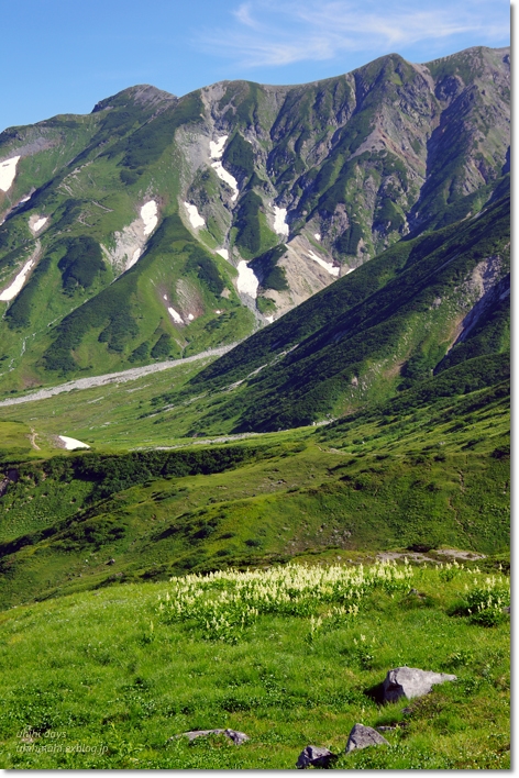 立山　室堂の絶景に感動！_f0179404_6454539.jpg