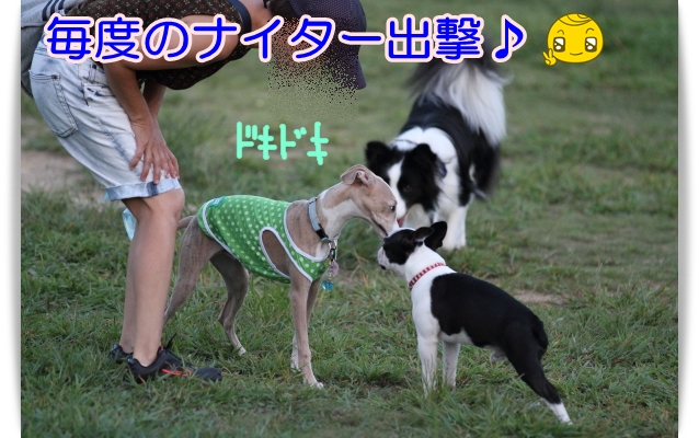 e0100007_1501414.jpg