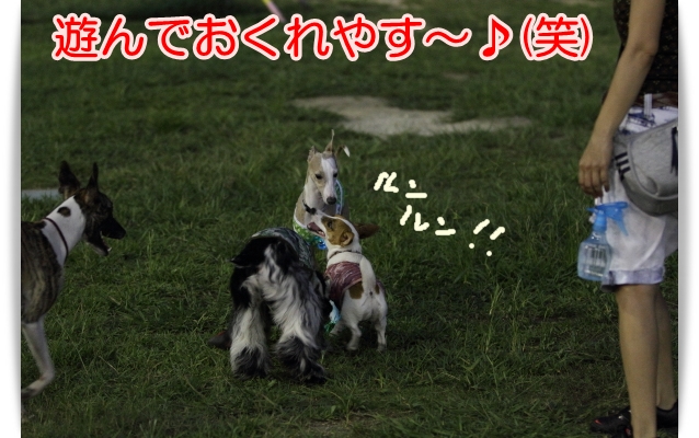 e0100007_1503786.jpg