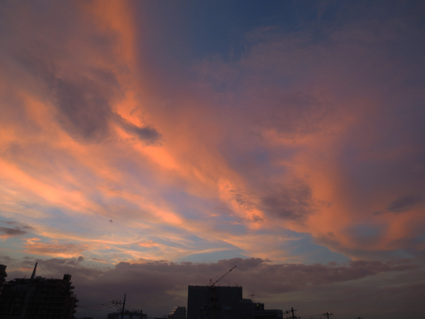 c0156908_775622.jpg