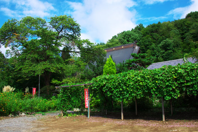 a0263109_1255252.jpg