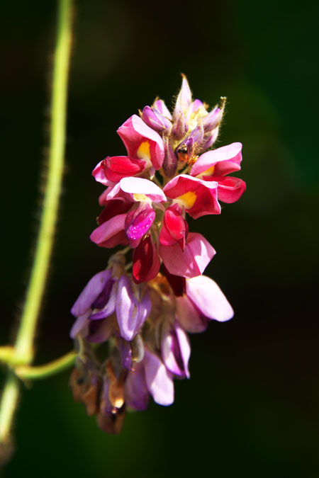 a0263109_1262281.jpg