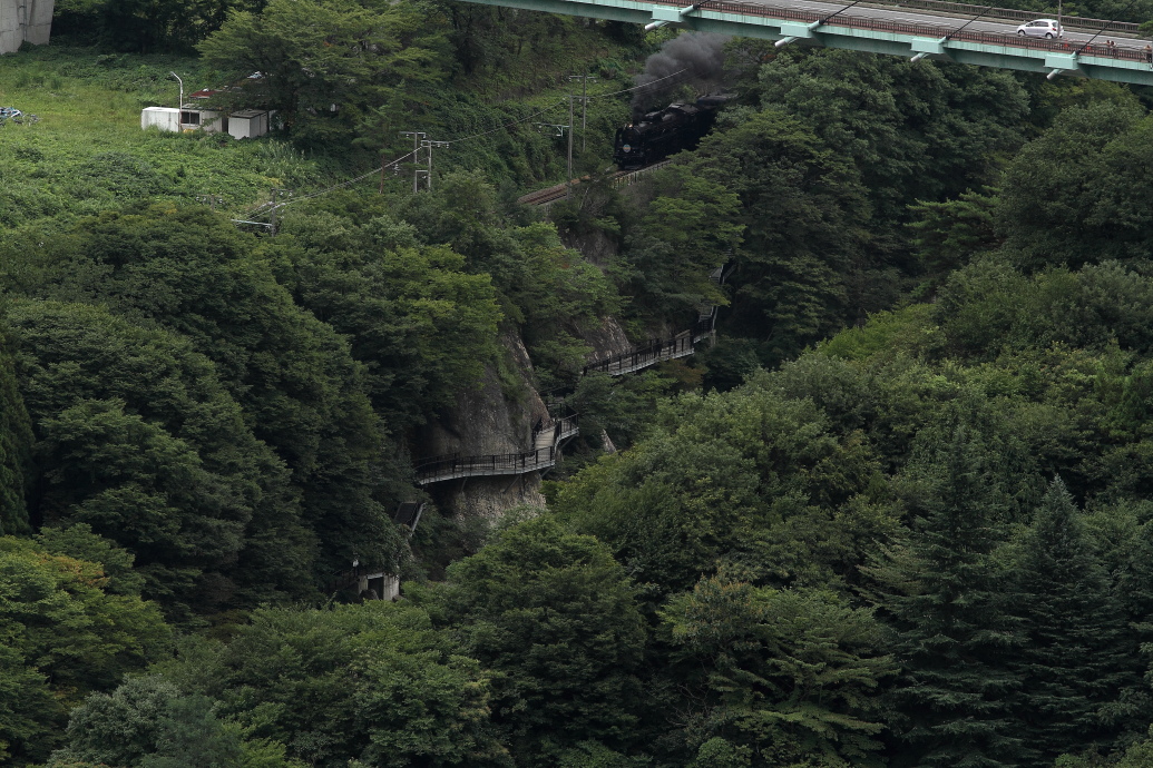 橋と遊歩道の間を汽車が走る - 2013年初秋・上越線 - _b0190710_2326461.jpg