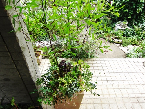 d0179410_23233171.jpg