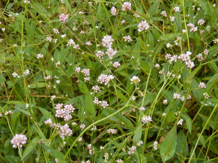 f0219710_12224862.jpg