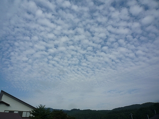 c0189218_16195951.jpg