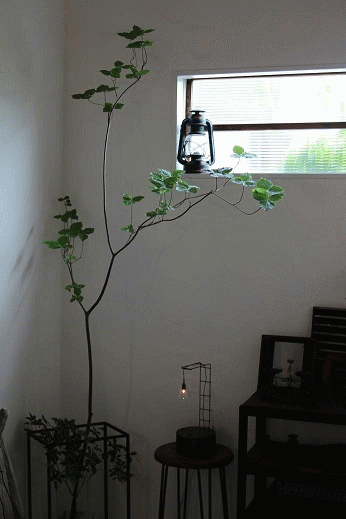 愛媛県 『余白』さん 企画展 10/5--10/19 _a0251920_3223748.gif