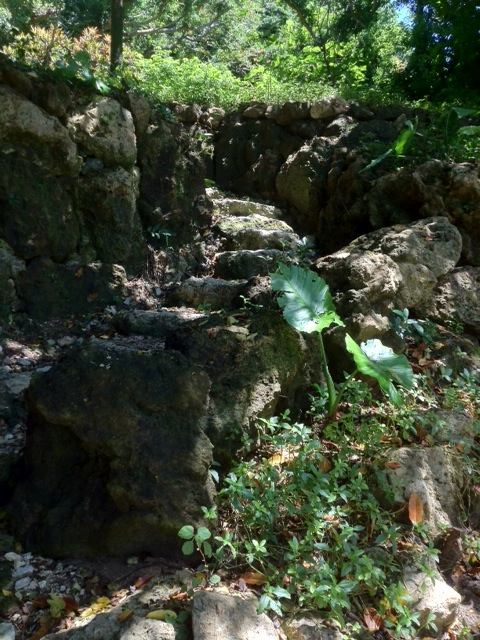 玉城（たまぐすく）に呼ばれた男_a0300530_13394889.jpg