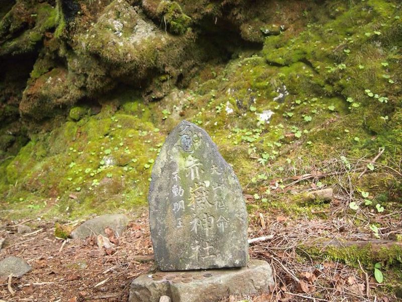 d0329637_12944.jpg
