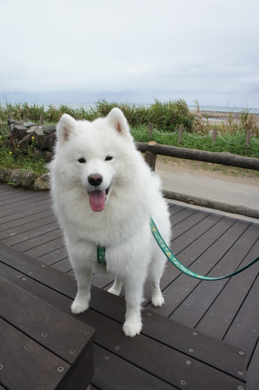 2013年みちのく旅行 その1_f0128542_11474844.jpg