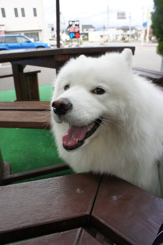 2013年みちのく旅行 その1_f0128542_1212986.jpg