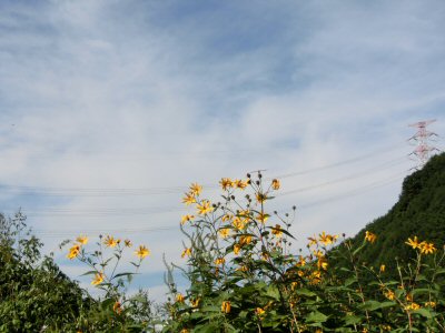 「川中島への道」第8回_f0019247_221266.jpg
