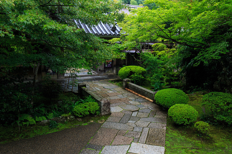 宝泉院・初秋_f0155048_21394880.jpg