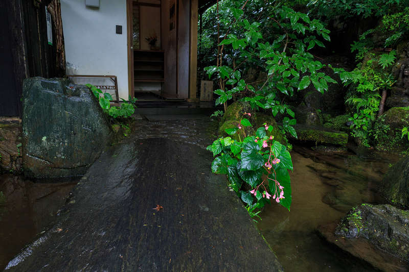 宝泉院・初秋_f0155048_2139563.jpg