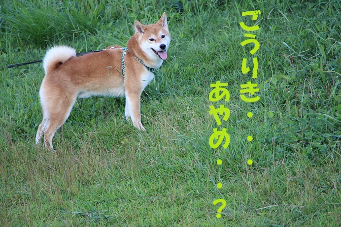 f0245650_829263.jpg