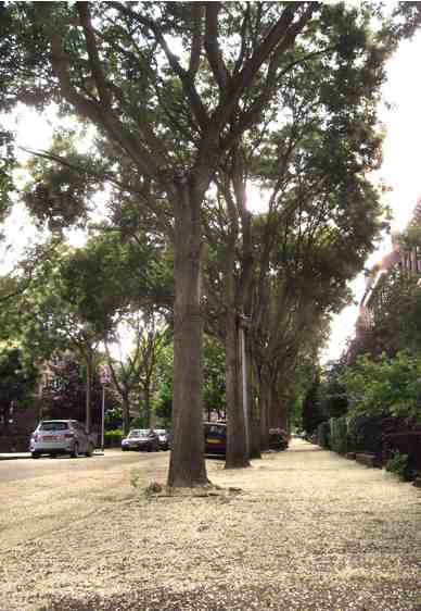 d0047851_8373967.jpg