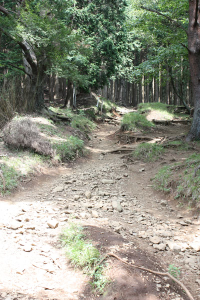 a0154957_12331.jpg