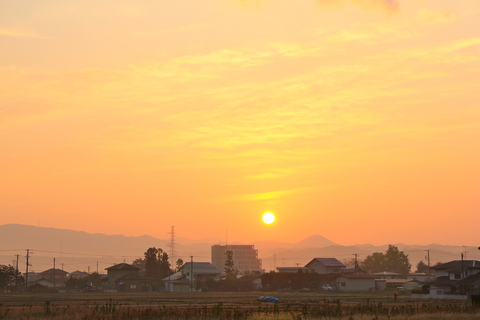 震災 原発事故から2年半 。。。_a0248459_1923348.jpg