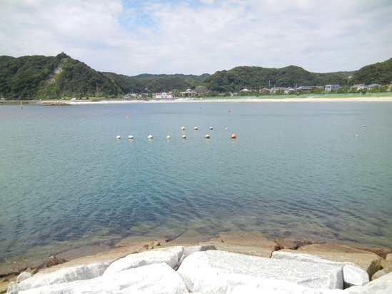 ’13,9,10(火)静かな興津海岸に~!_f0060461_14352683.jpg