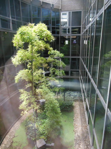 a0053063_0481425.jpg