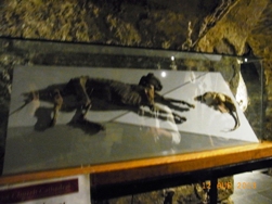 e0195766_61364.jpg