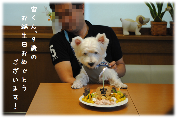 b0242873_13115480.png