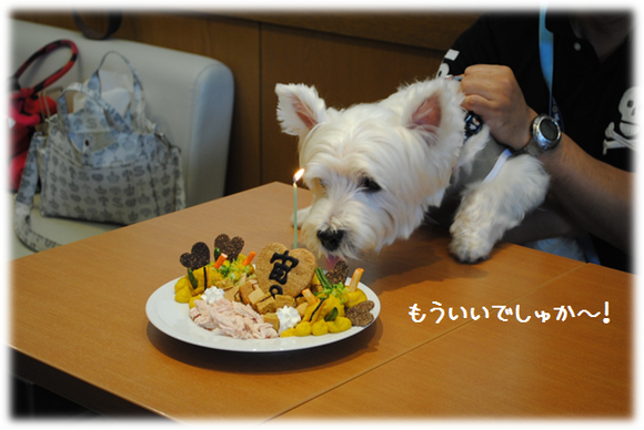 b0242873_1331544.png