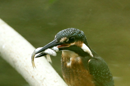 d0262476_5431523.jpg