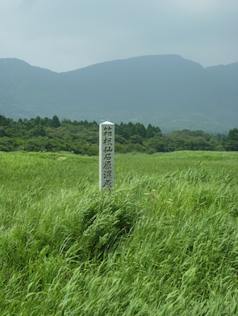 夏の箱根癒し旅No.7　仙石原の穂し乃庵でお蕎麦♪_e0194987_22345226.jpg