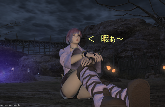 b0296791_13433976.png