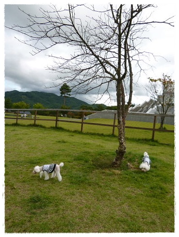 富士山周辺まで。_b0104592_1721217.jpg